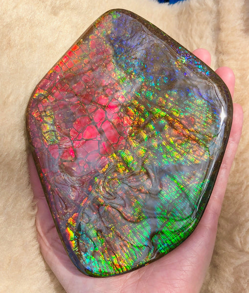 153 x118mmx18m Collector Stone - CS-137  ***FREE SHIPPING****アンモライト　コレクターストーン　ハイグレード ドラゴンスキン