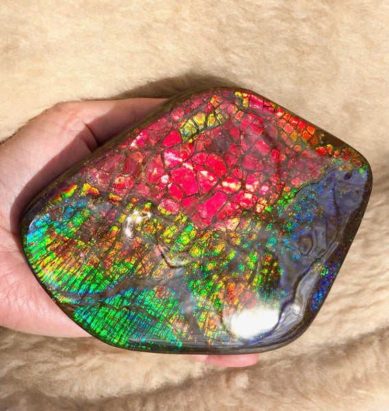 153 x118mmx18m Collector Stone - CS-137  ***FREE SHIPPING****アンモライト　コレクターストーン　ハイグレード ドラゴンスキン