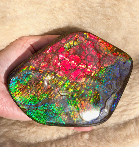 153 x118mmx18m Collector Stone - CS-137  ***FREE SHIPPING****アンモライト　コレクターストーン　ハイグレード ドラゴンスキン