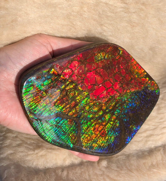 153 x118mmx18m Collector Stone - CS-137  ***FREE SHIPPING****アンモライト　コレクターストーン　ハイグレード ドラゴンスキン