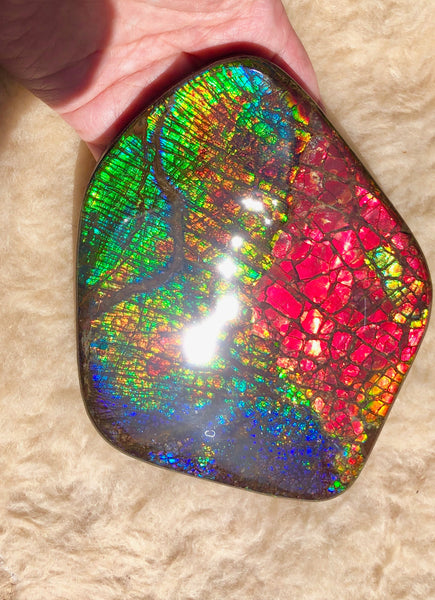 153 x118mmx18m Collector Stone - CS-137  ***FREE SHIPPING****アンモライト　コレクターストーン　ハイグレード ドラゴンスキン