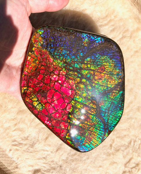 153 x118mmx18m Collector Stone - CS-137  ***FREE SHIPPING****アンモライト　コレクターストーン　ハイグレード ドラゴンスキン