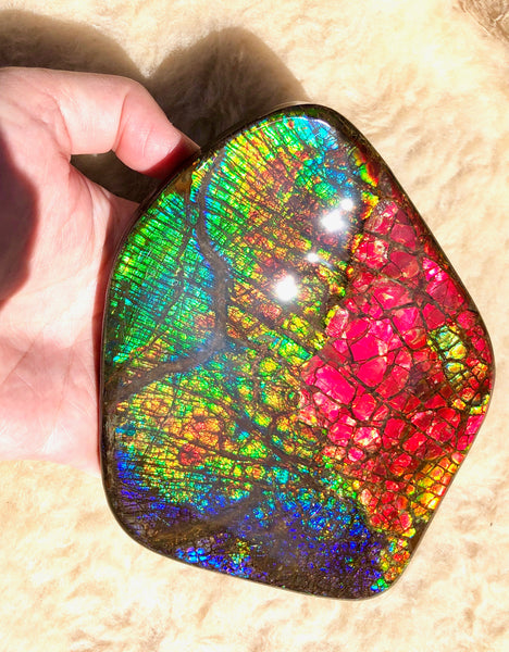 153 x118mmx18m Collector Stone - CS-137  ***FREE SHIPPING****アンモライト　コレクターストーン　ハイグレード ドラゴンスキン