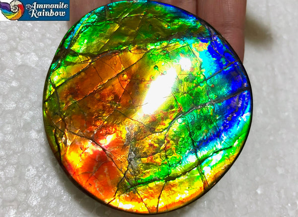 62 x 58mm Beautiful colors! Natural  Free Form . FFNT 138   ナチュラル　ルース　アンモライト フリーフォーム