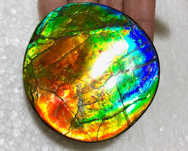 62 x 58mm Beautiful colors! Natural  Free Form . FFNT 138   ナチュラル　ルース　アンモライト フリーフォーム