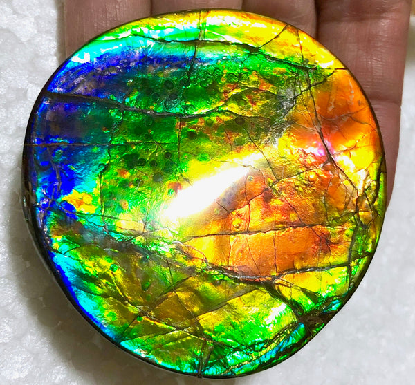 62 x 58mm Beautiful colors! Natural  Free Form . FFNT 138   ナチュラル　ルース　アンモライト フリーフォーム