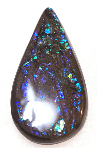 44 x 22 mm Coated Free Form Dragin skin - FFC82   - アンモライト　ルース　フリーフォーム