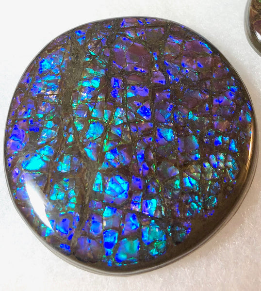 52x 51 x 7 mm Coated Free Form Dragonskin - FFC81   - アンモライト　ルース　