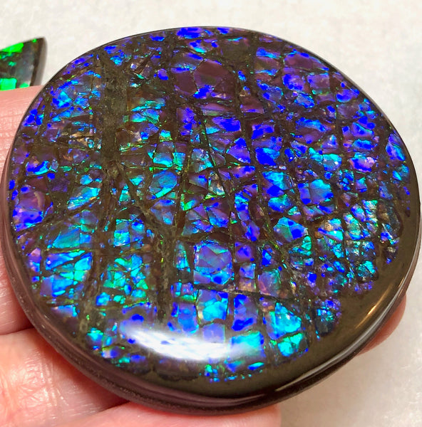 52x 51 x 7 mm Coated Free Form Dragonskin - FFC81   - アンモライト　ルース　