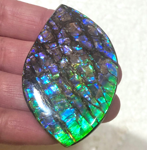 57 x35mm mm  High Grade Natural  Free Form . FFNT 153 Ammolite  ナチュラル　ルース　アンモライト