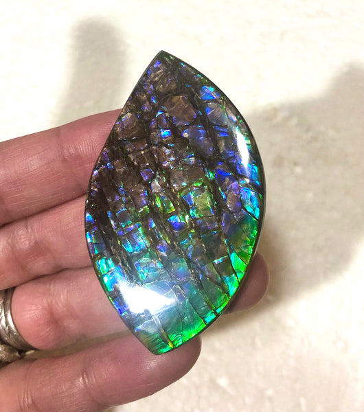 57 x35mm mm  High Grade Natural  Free Form . FFNT 153 Ammolite  ナチュラル　ルース　アンモライト