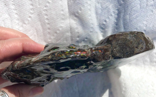 AF-48 アンモライト Placenticeras Intercalare  インターカラレ152x101x31mm Free Shipping  送料無料AF-48  Ammolite  Ammonite Fossil