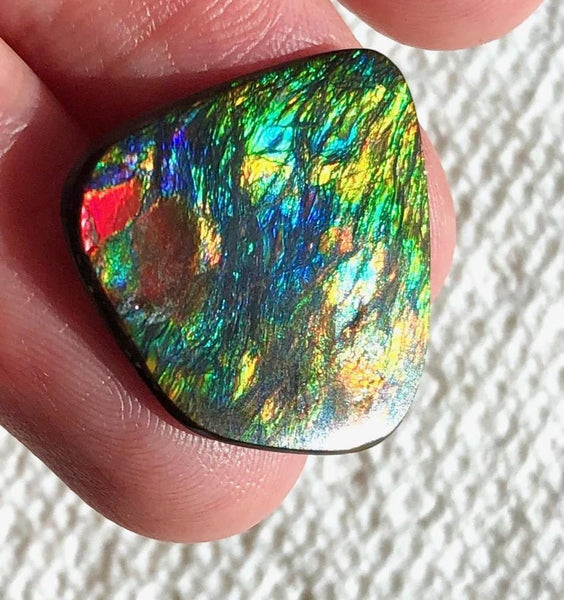【Reserved】 22x21.5 x2㎜  - IMP-74 RARE  Natural Ammolite Double-Sided Rainbow Beauty! 両面！ナチュラル レアルース アンモライト