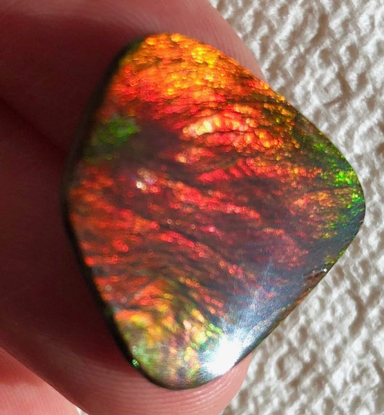 【Reserved】 22x21.5 x2㎜  - IMP-74 RARE  Natural Ammolite Double-Sided Rainbow Beauty! 両面！ナチュラル レアルース アンモライト
