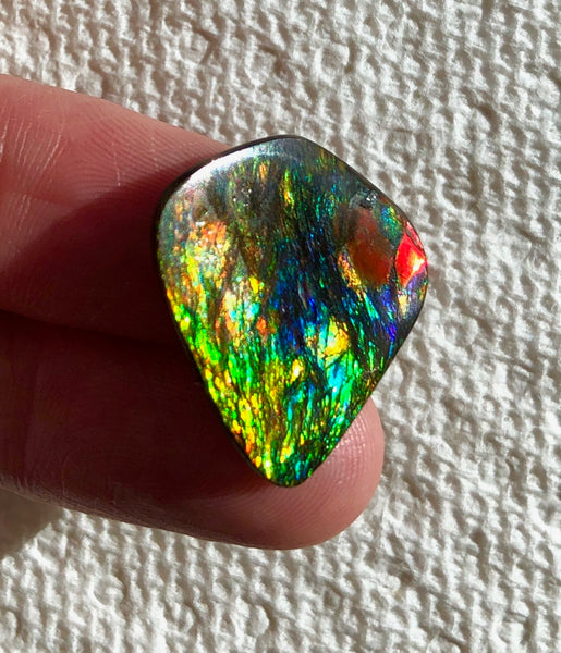 【Reserved】 22x21.5 x2㎜  - IMP-74 RARE  Natural Ammolite Double-Sided Rainbow Beauty! 両面！ナチュラル レアルース アンモライト