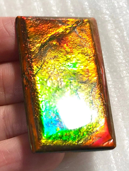 41 x22.5x3.8㎜  - IMP-73 RARE  Natural Ammolite Double-Sided Rainbow Beauty! 両面！ナチュラル レアルース アンモライト