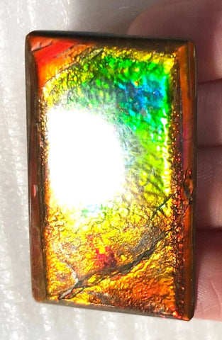 41 x22.5x3.8㎜  - IMP-73 RARE  Natural Ammolite Double-Sided Rainbow Beauty! 両面！ナチュラル レアルース アンモライト