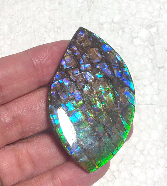 57 x35mm mm  High Grade Natural  Free Form . FFNT 153 Ammolite  ナチュラル　ルース　アンモライト