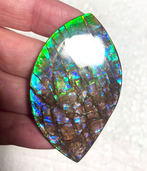 57 x35mm mm  High Grade Natural  Free Form . FFNT 153 Ammolite  ナチュラル　ルース　アンモライト