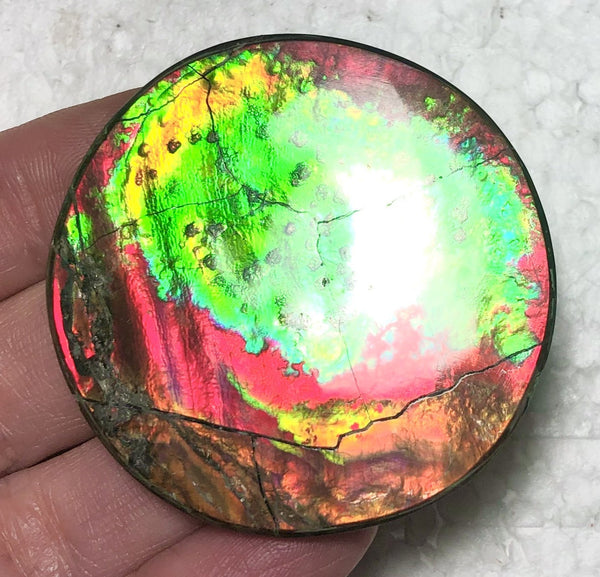 Fire Planetary Pattern with Craters and swirling color changing clouds 48.5x48 mm -   LARGE Beauty! Natural  Free Form . FFNT 152 Ammolite  ナチュラル　ルース　アンモライト