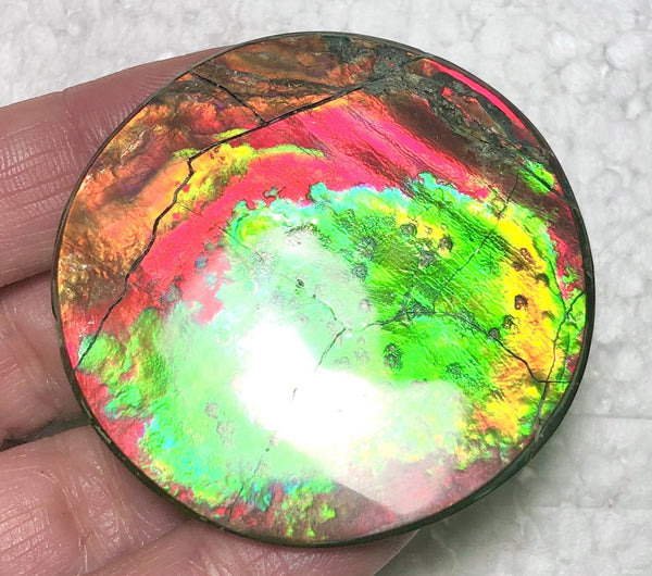 Fire Planetary Pattern with Craters and swirling color changing clouds 48.5x48 mm -   LARGE Beauty! Natural  Free Form . FFNT 152 Ammolite  ナチュラル　ルース　アンモライト