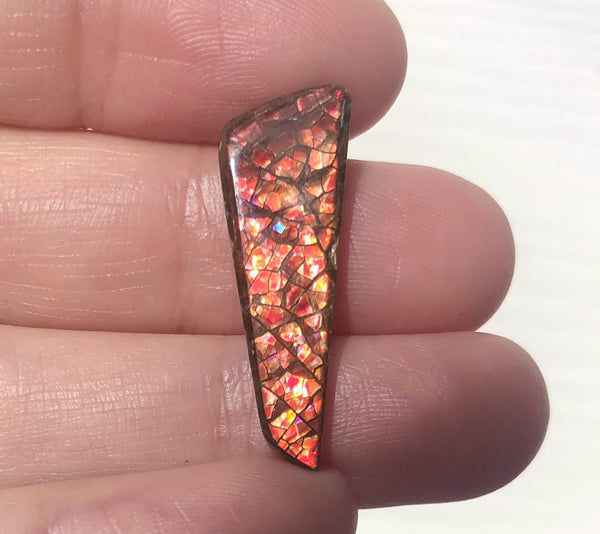 RESERVED for C.  Lot  Ammolite  4 stones Loose Gem, BRIGHT Canadian Ammolite Ammonite.DIY jewelry, Wrapping pendant, Metaphysical FFCL-008