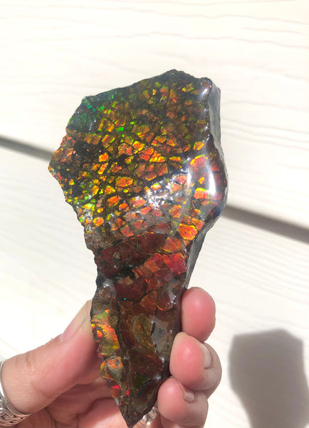 RESERVED for C*** 4.3" Ammolite Display Stone, Rough Hand Specimen, Bright Red 110mm Gemstone, Fengshui, Metaphysical, Home Décor