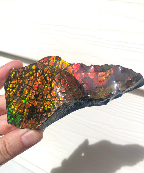 RESERVED for C*** 4.3" Ammolite Display Stone, Rough Hand Specimen, Bright Red 110mm Gemstone, Fengshui, Metaphysical, Home Décor