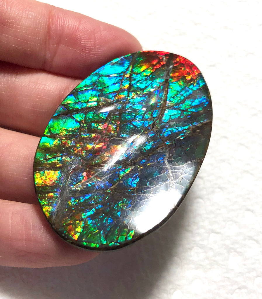 IMPERIAL アンモライト 両面レインボー レアルース