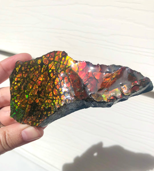 RESERVED for C*** 4.3" Ammolite Display Stone, Rough Hand Specimen, Bright Red 110mm Gemstone, Fengshui, Metaphysical, Home Décor