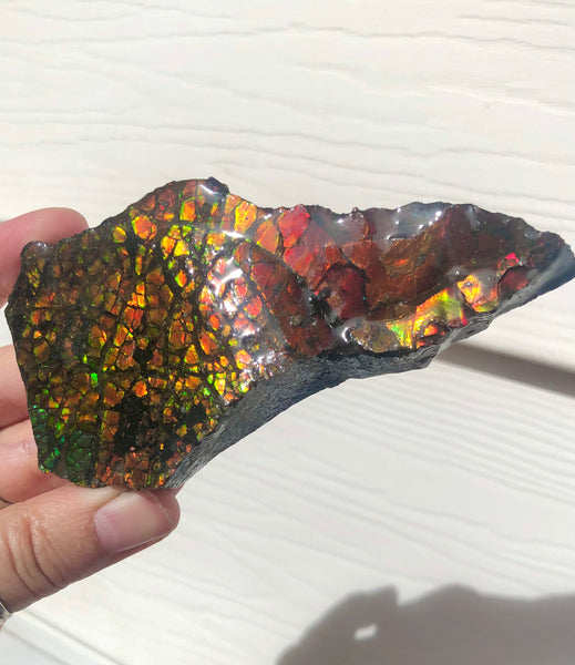 RESERVED for C*** 4.3" Ammolite Display Stone, Rough Hand Specimen, Bright Red 110mm Gemstone, Fengshui, Metaphysical, Home Décor