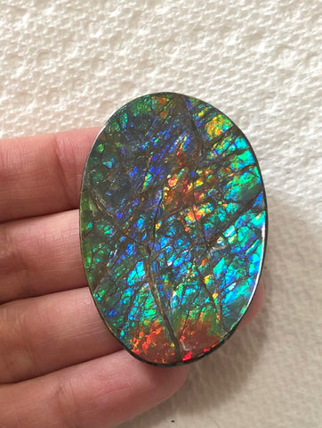 Large 51 x 34  mm  - IMP-65 Natural Ammolite Double-Sided Rainbow Imperial! Free shipping!　両面iインペリアル！レアルース　送料無料アンモライト