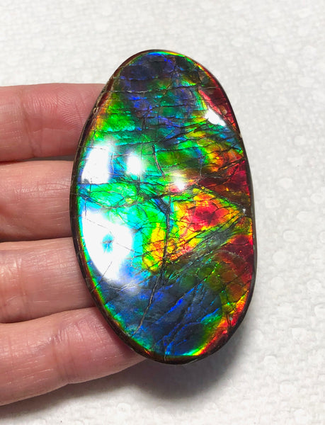 XL 63x35 mm  Top Grade Natural  Free Form . FFNT 128-2 Ammolite  Free Shipping! ナチュラル　ルース　アンモライト ケース付　送料無料！