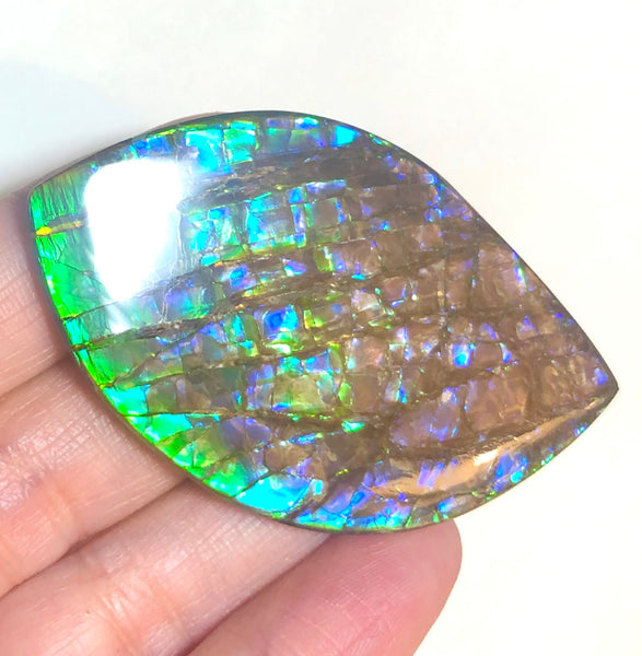 57 x35mm mm  High Grade Natural  Free Form . FFNT 153 Ammolite  ナチュラル　ルース　アンモライト