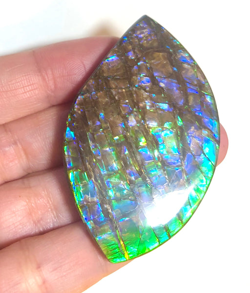 57 x35mm mm  High Grade Natural  Free Form . FFNT 153 Ammolite  ナチュラル　ルース　アンモライト