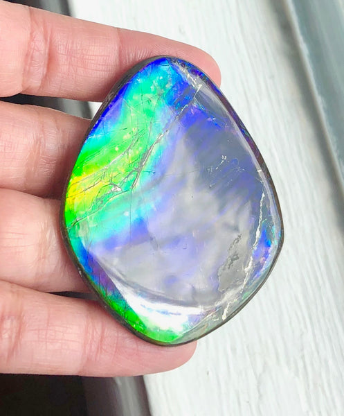 55 x 45mm Beautiful colors! Natural  Free Form . FFNT 130   ナチュラル　ルース　アンモライト フリーフォーム