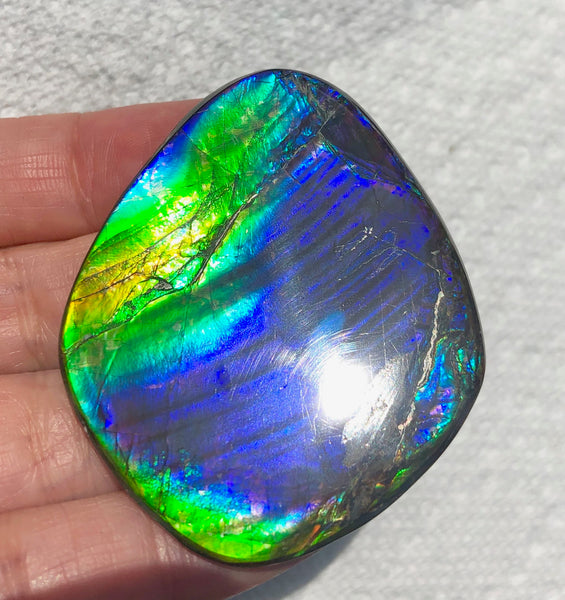 55 x 45mm Beautiful colors! Natural  Free Form . FFNT 130   ナチュラル　ルース　アンモライト フリーフォーム