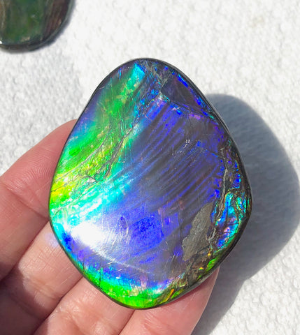 55 x 45mm Beautiful colors! Natural  Free Form . FFNT 130   ナチュラル　ルース　アンモライト フリーフォーム