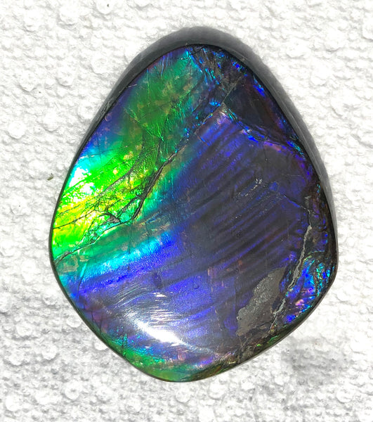 55 x 45mm Beautiful colors! Natural  Free Form . FFNT 130   ナチュラル　ルース　アンモライト フリーフォーム