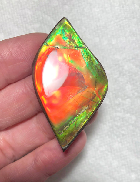 50x27.5mm  Color Changer! Natural  Free Form . FFNT 154 Ammolite  ナチュラル　ルース　アンモライト
