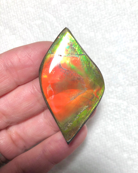 50x27.5mm  Color Changer! Natural  Free Form . FFNT 154 Ammolite  ナチュラル　ルース　アンモライト