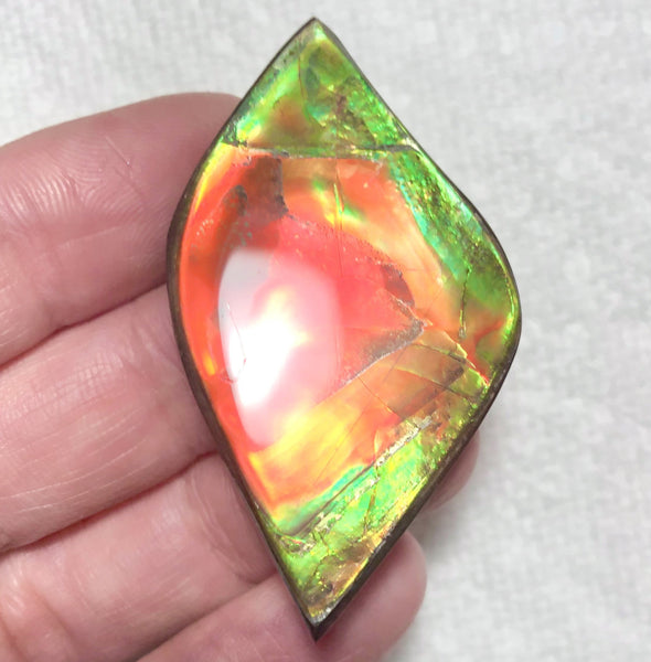 50x27.5mm  Color Changer! Natural  Free Form . FFNT 154 Ammolite  ナチュラル　ルース　アンモライト