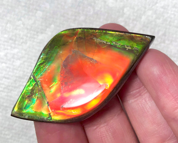 50x27.5mm  Color Changer! Natural  Free Form . FFNT 154 Ammolite  ナチュラル　ルース　アンモライト