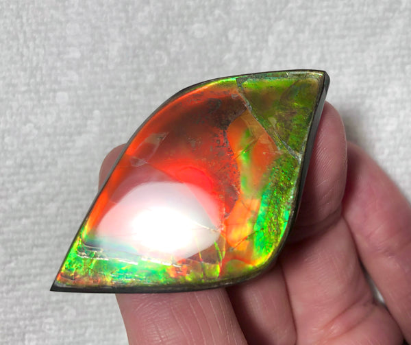 50x27.5mm  Color Changer! Natural  Free Form . FFNT 154 Ammolite  ナチュラル　ルース　アンモライト