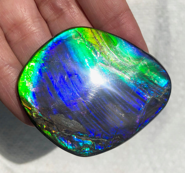 55 x 45mm Beautiful colors! Natural  Free Form . FFNT 130   ナチュラル　ルース　アンモライト フリーフォーム