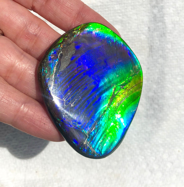 55 x 45mm Beautiful colors! Natural  Free Form . FFNT 130   ナチュラル　ルース　アンモライト フリーフォーム