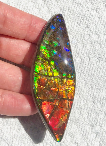 72x24mm Coated Free Form Rainbow Dragonskin - FFC101   - Ammolite アンモライト　ルース　