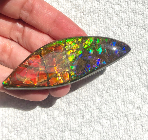 72x24mm Coated Free Form Rainbow Dragonskin - FFC101   - Ammolite アンモライト　ルース　