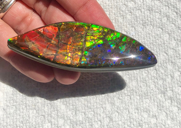 72x24mm Coated Free Form Rainbow Dragonskin - FFC101   - Ammolite アンモライト　ルース　