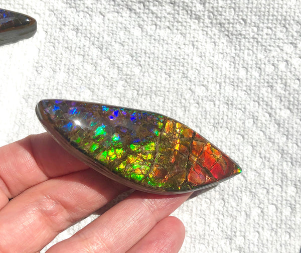 72x24mm Coated Free Form Rainbow Dragonskin - FFC101   - Ammolite アンモライト　ルース　